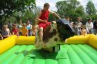 bullriding